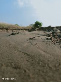 Surface level of sand on beach against sky