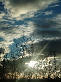 Silhouette bare trees against sky