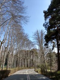 Road amidst trees against clear sky