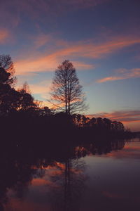 Silhouette bare trees on landscape against sky during sunset