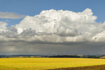Scenic view of field against sky