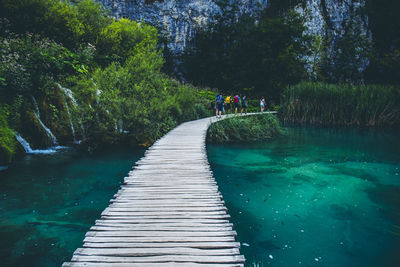 People walking on footbridge over river by trees