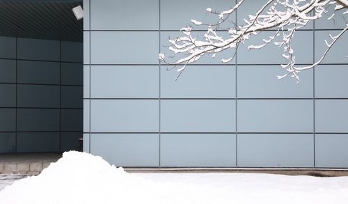 Snow covered tree against building