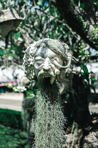 Close-up of statue on plant in garden