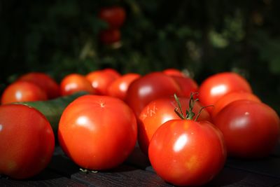 Close-up of tomatoes