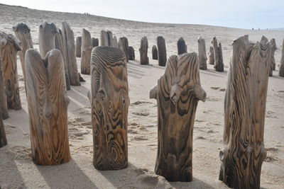 Wooden posts on sand at beach against sky