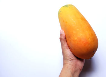 Woman hand holding ripe papaya in on a white background