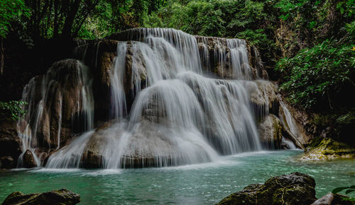 Scenic view of waterfall in forest