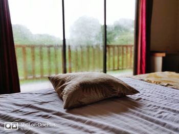 Cat relaxing on bed by window at home