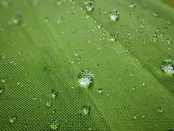 Full frame shot of water drops on leaf