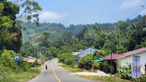 People walking on road