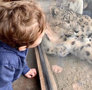 High angle view of boy with cat