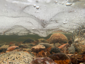 Close-up of wet rocks in glass