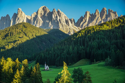 Panoramic view of trees and mountains against sky