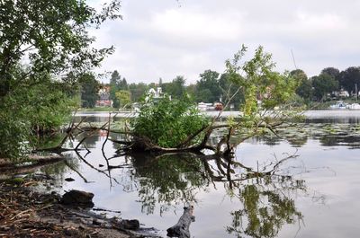 Scenic view of lake against sky