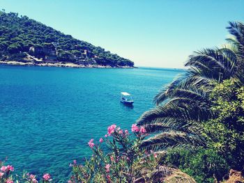 Scenic view of sea against clear blue sky