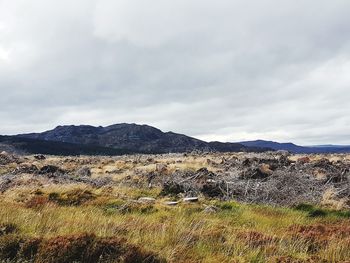 Scenic view of landscape against sky