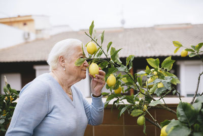 Senior woman smelling lemon of her lemon tree