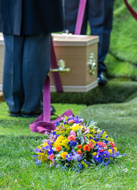 Low section of person holding purple flowering plant in field