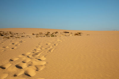 Scenic view of desert against clear sky