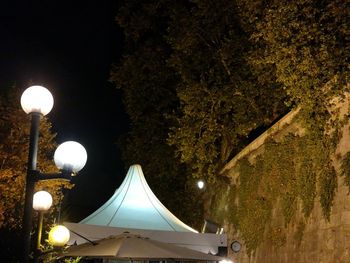 Illuminated lanterns hanging by tree against sky at night