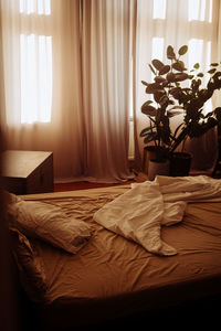 Sunlight falling on table at home