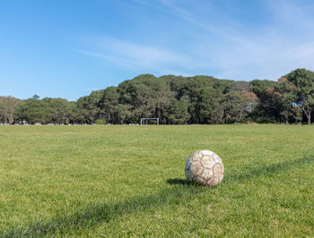 Scenic view of field by trees against sky