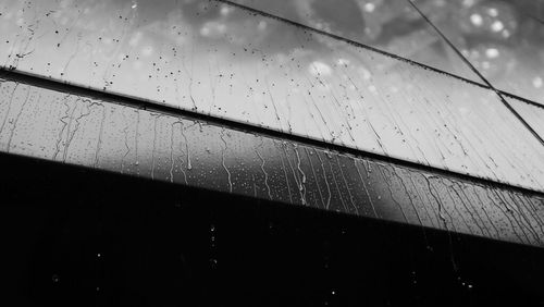 Reflection of trees in water