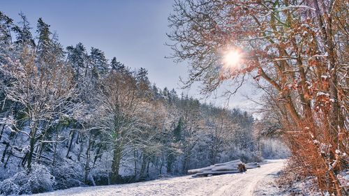 Snow covered land against sky