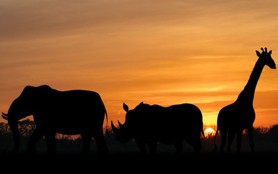 Silhouette image of wild animals. sunset nature photography. nature beauty. wildlife photography