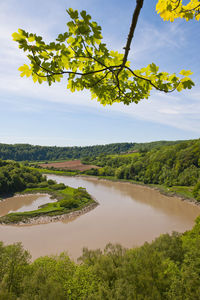 Scenic view of river against cloudy sky