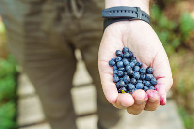 Close-up of hand holding blueberries