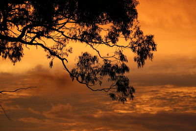 Silhouette tree against sea during sunset