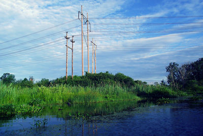 Plants by electricity pylon against sky