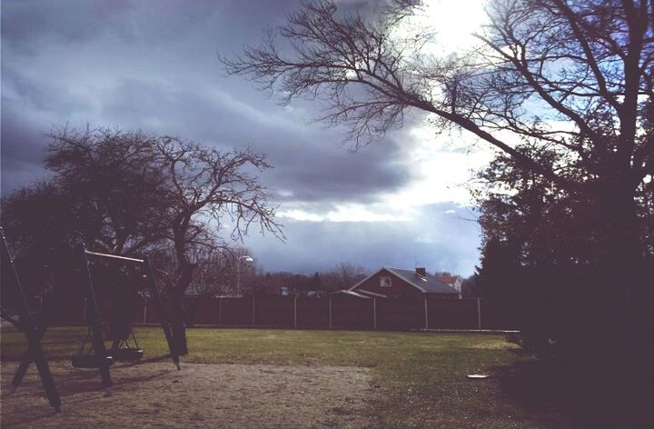 tree, sky, built structure, bare tree, cloud - sky, building exterior, architecture, branch, cloudy, cloud, bench, grass, house, tranquility, nature, tranquil scene, park - man made space, landscape, field, empty