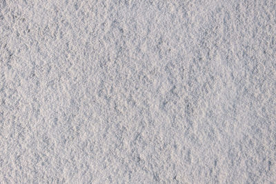 Close-up of snow on land