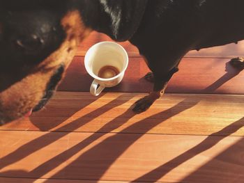 Close-up of a dog with coffee cup