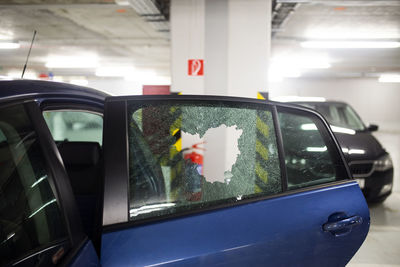 View of fish in car