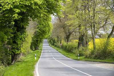 Road amidst trees in forest during autumn