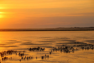 Scenic view of landscape against sky during sunset