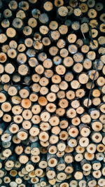 Full frame shot of logs