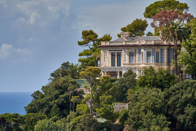 Palm trees by sea against sky