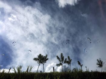 Low angle view of birds flying in sky