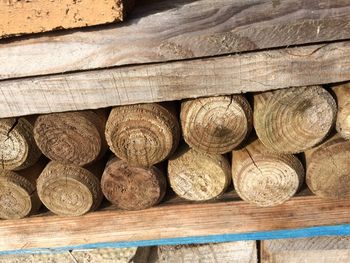 Stack of logs