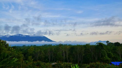 Scenic view of landscape against sky