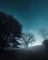 Silhouette trees on field against sky at night