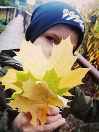 Close-up portrait of boy holding maple leaves during autumn