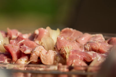 Close-up of served food on table