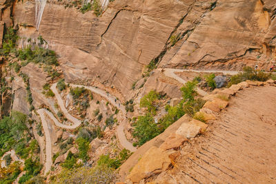 Walking path in zion national park from angel's landing during summer.