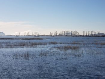 Scenic view of lake against sky during winter